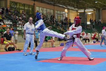 Fotogalería VIII Open Taekwondo Ciudad de Segovia 42 Fotografía: Miguel Angel Fernández