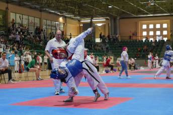 Fotogalería VIII Open Taekwondo Ciudad de Segovia 54 Fotografía: Miguel Angel Fernández