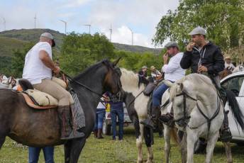 Fotogalería IV Trashumancia de Bueyes en Villacastín 50 Fotografía: Miguel Angel Fernández