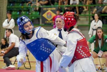 Fotogalería VIII Open Taekwondo Ciudad de Segovia 26 Fotografía: Miguel Angel Fernández