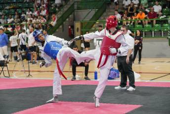 Fotogalería VIII Open Taekwondo Ciudad de Segovia 16 Fotografía: Miguel Angel Fernández