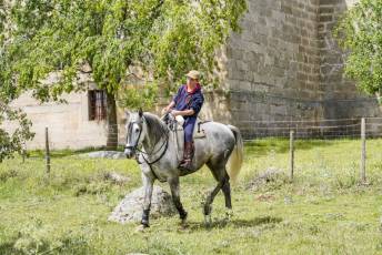 Fotogalería IV Trashumancia de Bueyes en Villacastín 52 Fotografía: Miguel Angel Fernández