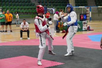 Fotogalería VIII Open Taekwondo Ciudad de Segovia 11 Fotografía: Miguel Angel Fernández