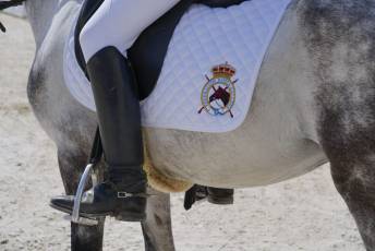 Fotogalería XXXV Campeonato de España de Equitación con Ponis 74 Fotografía: Miguel Angel Fernández