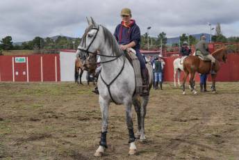 Fotogalería IV Trashumancia de Bueyes en Villacastín 60 Fotografía: Miguel Angel Fernández