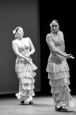 Fotogalería La Historia del Flamenco de Laura Segovia 6 Fotografía: Miguel Angel Fernández