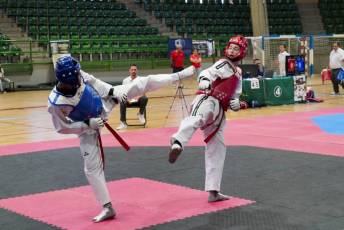 Fotogalería VIII Open Taekwondo Ciudad de Segovia 23 Fotografía: Miguel Angel Fernández