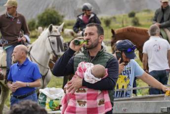 Fotogalería IV Trashumancia de Bueyes en Villacastín 7 Fotografía: Miguel Angel Fernández
