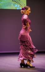 Fotogalería La Historia del Flamenco de Laura Segovia 22 Fotografía: Miguel Angel Fernández