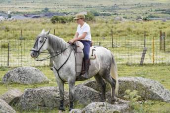 Fotogalería IV Trashumancia de Bueyes en Villacastín 14 Fotografía: Miguel Angel Fernández