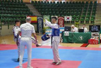 Fotogalería VIII Open Taekwondo Ciudad de Segovia 21 Fotografía: Miguel Angel Fernández