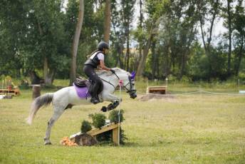 Fotogalería XXXV Campeonato de España de Equitación con Ponis 34 Fotografía: Miguel Angel Fernández