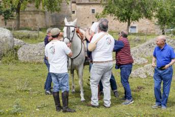 Fotogalería IV Trashumancia de Bueyes en Villacastín 16 Fotografía: Miguel Angel Fernández