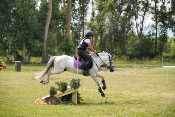 Fotogalería XXXV Campeonato de España de Equitación con Ponis 14 Fotografía: Miguel Angel Fernández
