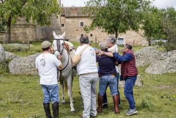 Fotogalería IV Trashumancia de Bueyes en Villacastín 41 Fotografía: Miguel Angel Fernández