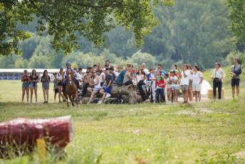 Fotogalería XXXV Campeonato de España de Equitación con Ponis 69 Fotografía: Miguel Angel Fernández