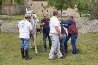Fotogalería IV Trashumancia de Bueyes en Villacastín 46 Fotografía: Miguel Angel Fernández