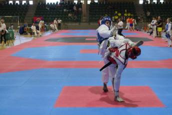 Fotogalería VIII Open Taekwondo Ciudad de Segovia 36 Fotografía: Miguel Angel Fernández