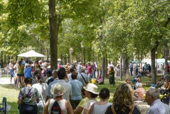 Fotogalería Paella Popular en La Fuencisla 63 Fotografía: Miguel Angel Fernández