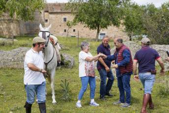 Fotogalería IV Trashumancia de Bueyes en Villacastín 34 Fotografía: Miguel Angel Fernández