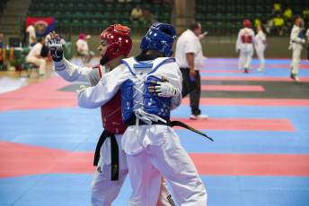 Fotogalería VIII Open Taekwondo Ciudad de Segovia 14 Fotografía: Miguel Angel Fernández