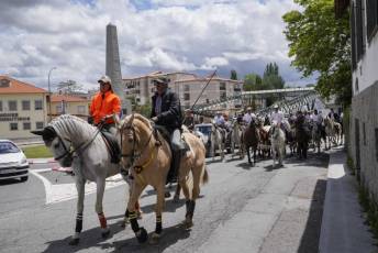 Fotogalería IV Trashumancia de Bueyes en Villacastín 44 Fotografía: Miguel Angel Fernández