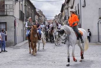 Fotogalería IV Trashumancia de Bueyes en Villacastín 28 Fotografía: Miguel Angel Fernández