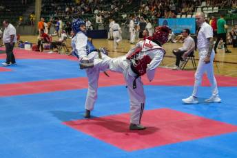 Fotogalería VIII Open Taekwondo Ciudad de Segovia 56 Fotografía: Miguel Angel Fernández