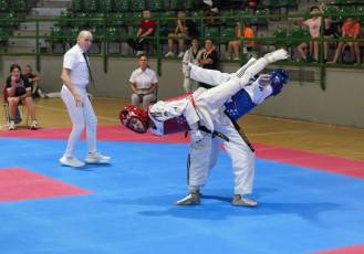 Fotogalería VIII Open Taekwondo Ciudad de Segovia 9 Fotografía: Miguel Angel Fernández