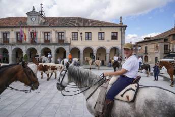 Fotogalería IV Trashumancia de Bueyes en Villacastín 61 Fotografía: Miguel Angel Fernández