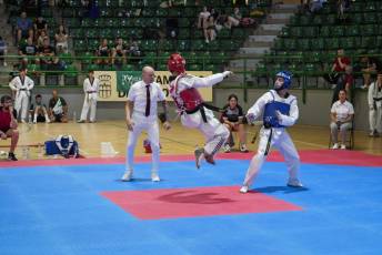 Fotogalería VIII Open Taekwondo Ciudad de Segovia 51 Fotografía: Miguel Angel Fernández