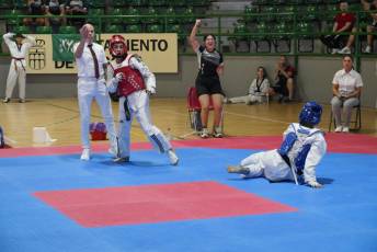 Fotogalería VIII Open Taekwondo Ciudad de Segovia 44 Fotografía: Miguel Angel Fernández