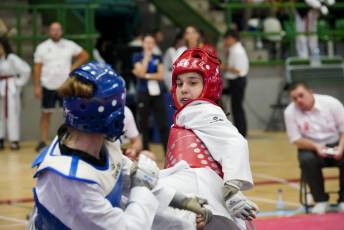Fotogalería VIII Open Taekwondo Ciudad de Segovia 45 Fotografía: Miguel Angel Fernández