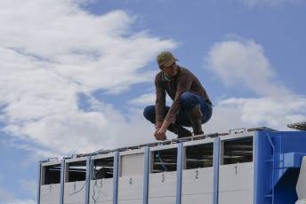 Fotogalería IV Trashumancia de Bueyes en Villacastín 36 Fotografía: Miguel Angel Fernández