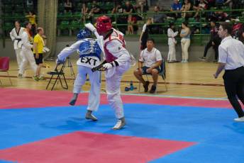 Fotogalería VIII Open Taekwondo Ciudad de Segovia 37 Fotografía: Miguel Angel Fernández