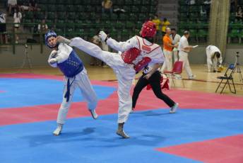 Fotogalería VIII Open Taekwondo Ciudad de Segovia 25 Fotografía: Miguel Angel Fernández