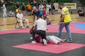 Fotogalería VIII Open Taekwondo Ciudad de Segovia 33 Fotografía: Miguel Angel Fernández