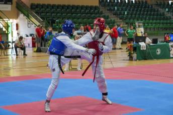 Fotogalería VIII Open Taekwondo Ciudad de Segovia 38 Fotografía: Miguel Angel Fernández