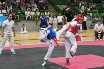 Fotogalería VIII Open Taekwondo Ciudad de Segovia 17 Fotografía: Miguel Angel Fernández