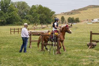 Fotogalería XXXV Campeonato de España de Equitación con Ponis 53 Fotografía: Miguel Angel Fernández