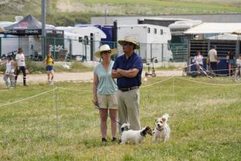 Fotogalería XXXV Campeonato de España de Equitación con Ponis 44 Fotografía: Miguel Angel Fernández