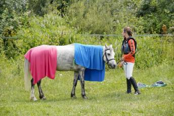 Fotogalería XXXV Campeonato de España de Equitación con Ponis 50 Fotografía: Miguel Angel Fernández