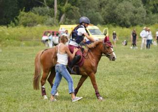 Fotogalería XXXV Campeonato de España de Equitación con Ponis 80 Fotografía: Miguel Angel Fernández