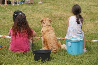 Fotogalería XXXV Campeonato de España de Equitación con Ponis 54 Fotografía: Miguel Angel Fernández