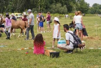 Fotogalería XXXV Campeonato de España de Equitación con Ponis 17 Fotografía: Miguel Angel Fernández