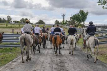 Fotogalería IV Trashumancia de Bueyes en Villacastín 54 Fotografía: Miguel Angel Fernández