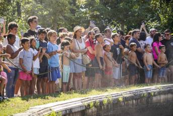 Fotogalería Fuentes Ornamentales Palacio de la Granja 8 Fotografía: Miguel Angel Fernández