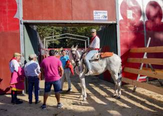 Fotogalería Vaquillas Quintos Fiestas San Rafael 6 Fotografía: Miguel Angel Fernández