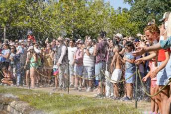 Fotogalería Fuentes Ornamentales Palacio de la Granja 11 Fotografía: Miguel Angel Fernández