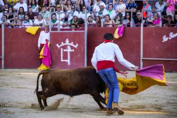 Fotogalería Vaquillas Quintos Fiestas San Rafael 21 Fotografía: Miguel Angel Fernández